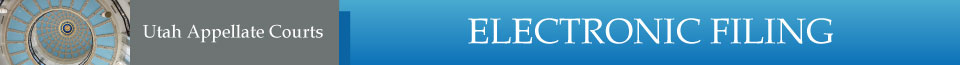 eFlex electronic filing